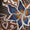 Print Swatch