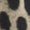 Print Swatch