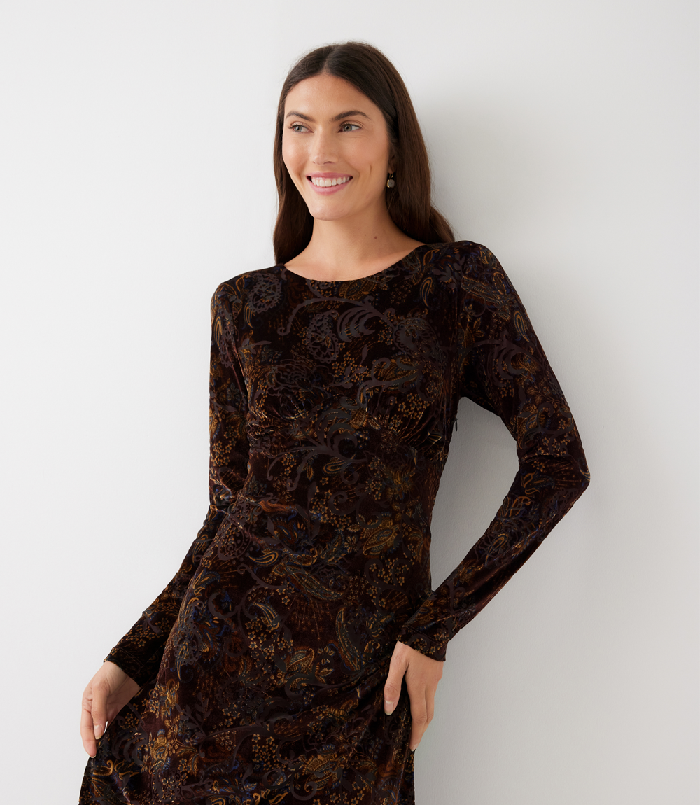 Long Sleeve Velvet Burnout Midi Dress