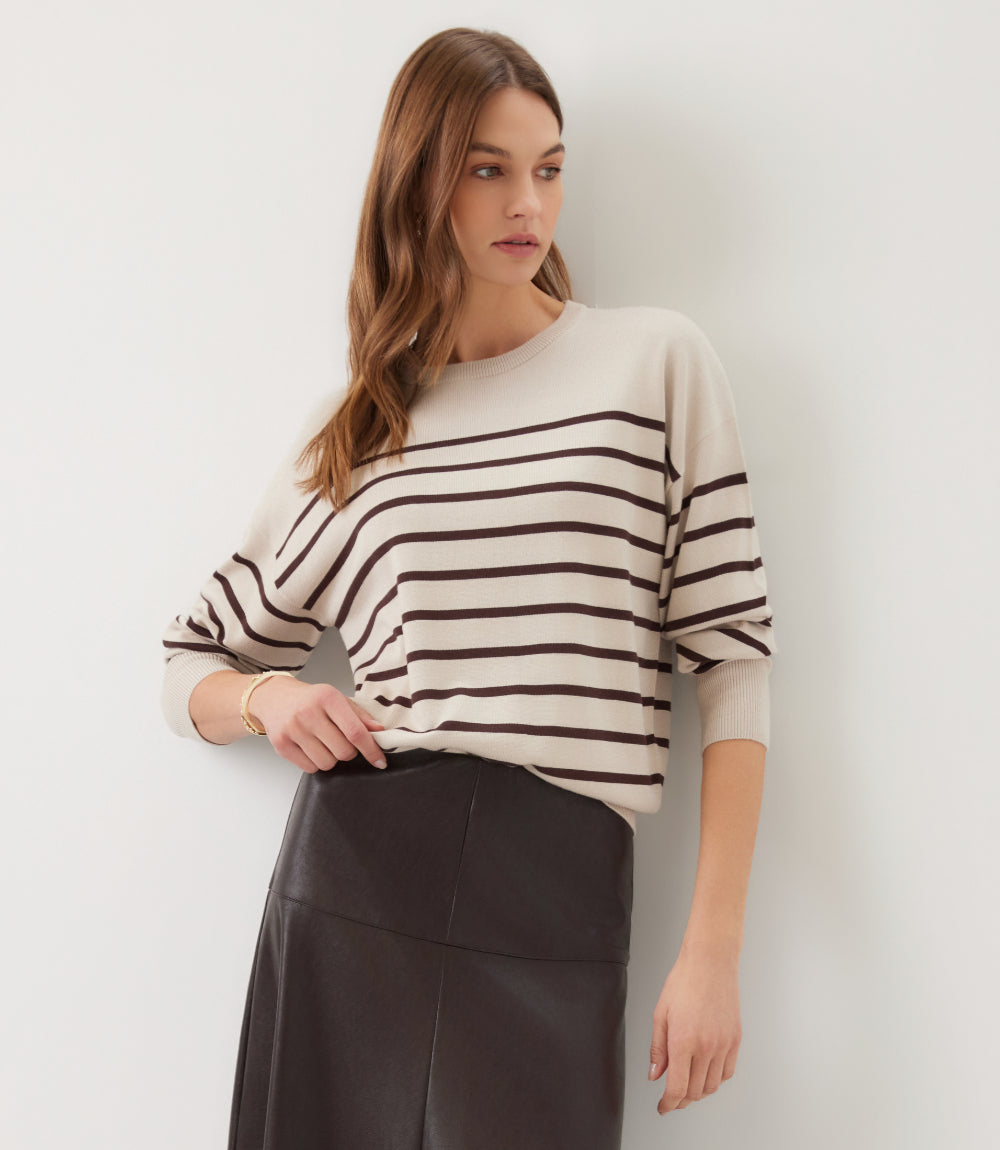 Petite Size Stripe Crewneck Sweater