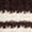 Chocolate With Cream Swatch