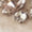 Cream Swatch