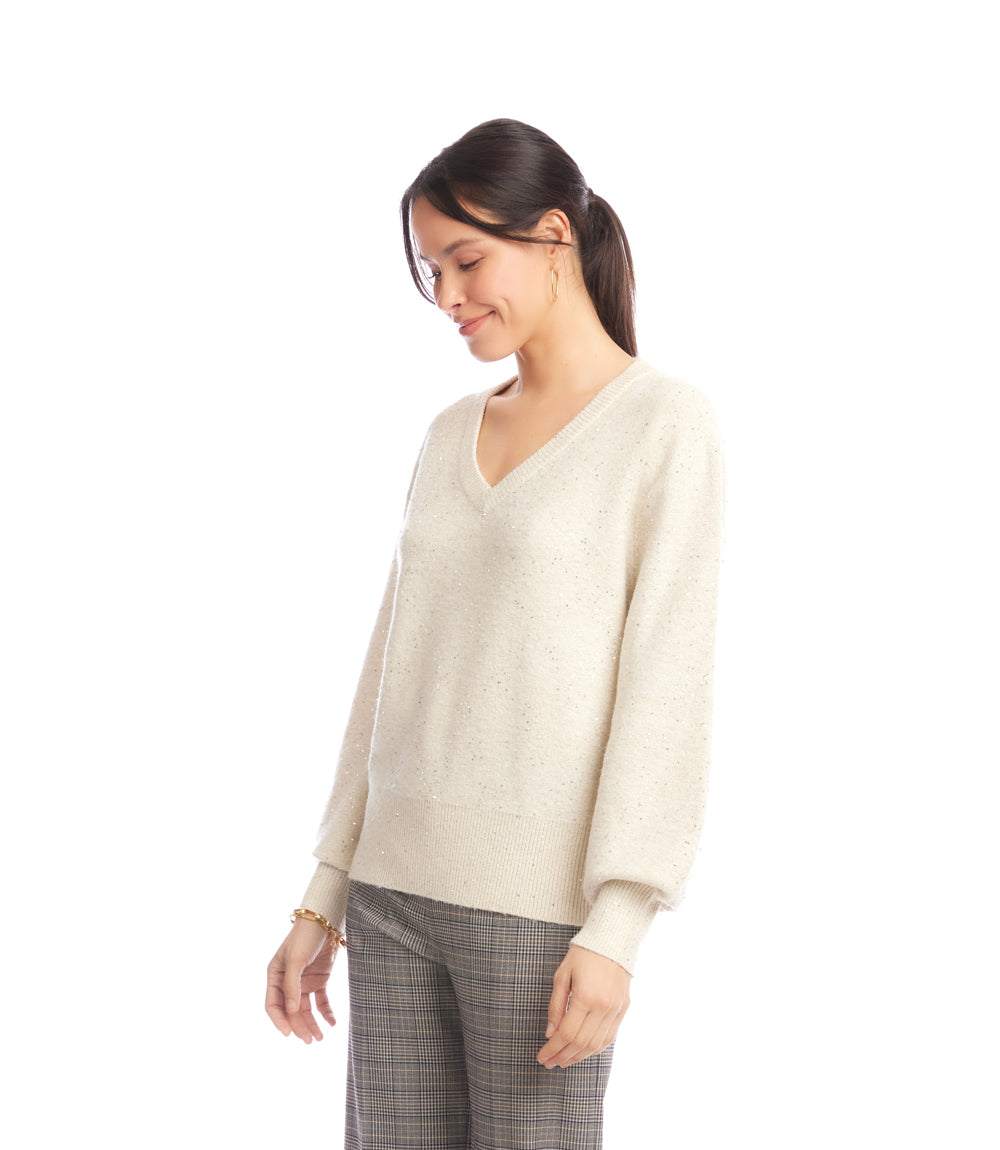 Sequin V-Neck Sweater