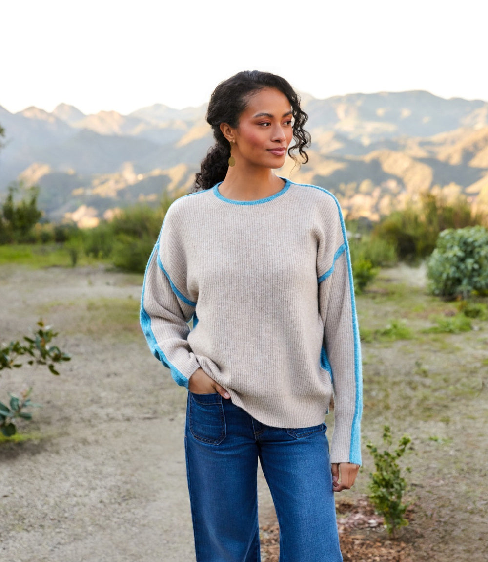 Petite Size Colorblock Crewneck Sweater