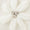 Cream Swatch