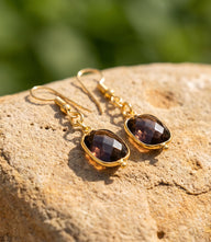 Tigers Eye Earrings