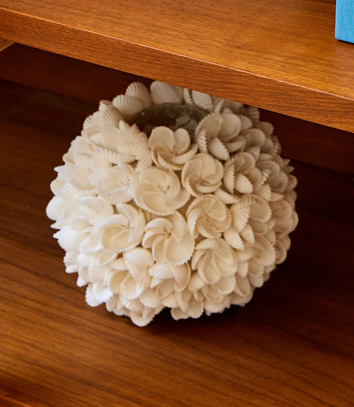 Oahu Seashell Candleholder