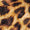 Leopard Swatch