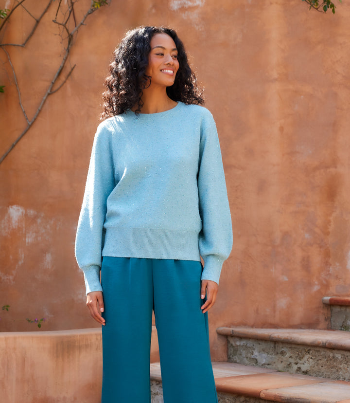 Sequin Crewneck Sweater