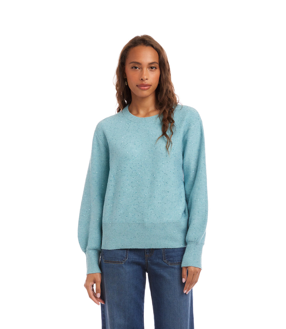 Sequin Crewneck Sweater