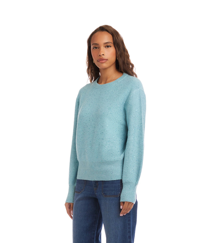 Sequin Crewneck Sweater