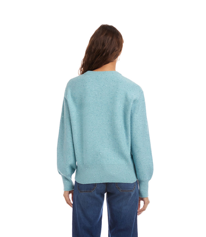 Sequin Crewneck Sweater