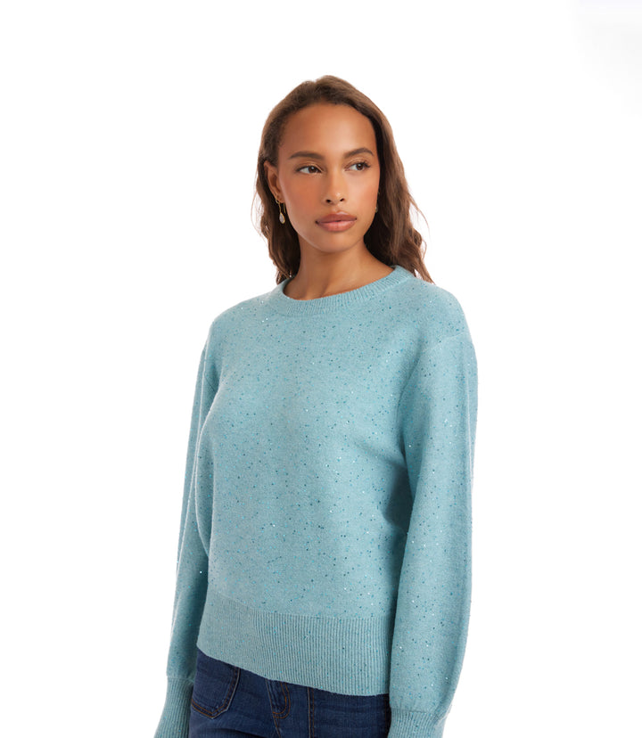 Sequin Crewneck Sweater