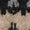 Black Swatch