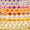 Sunset Swatch