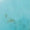 Turquoise Swatch