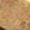 Gold Swatch