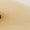 Gold Swatch