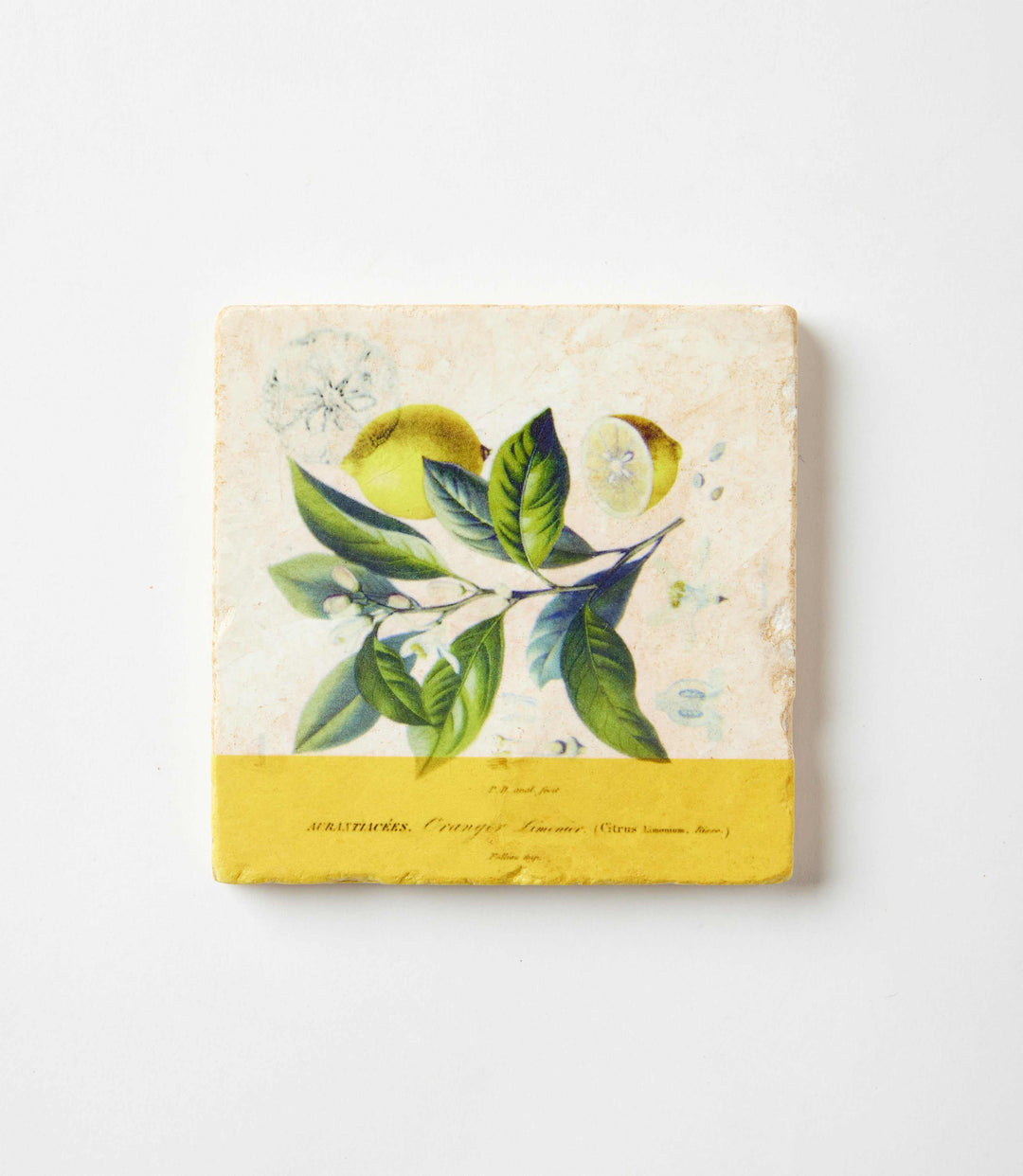 Lemon Marble Coasters, Set Of 4