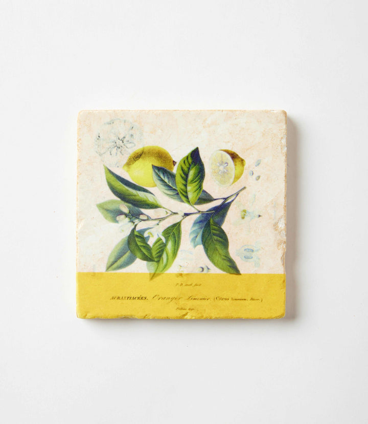 Lemon Marble Coasters, Set Of 4