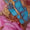 Multi Swatch