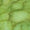 Green Swatch