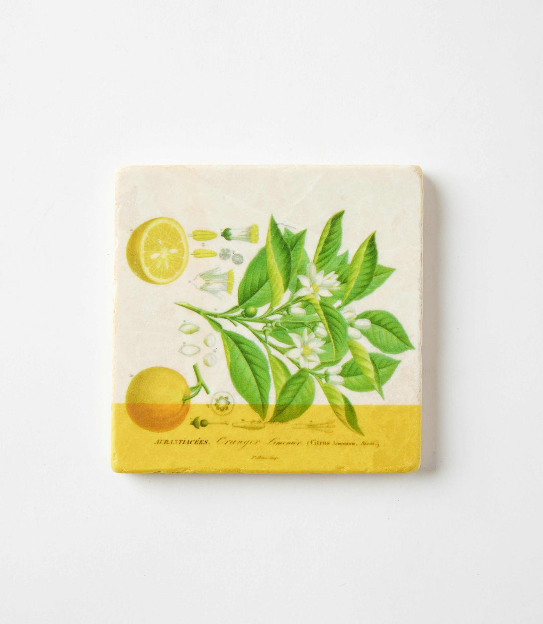 Lemon Marble Coasters, Set Of 4