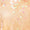 Multi Swatch