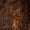 Bronze Swatch