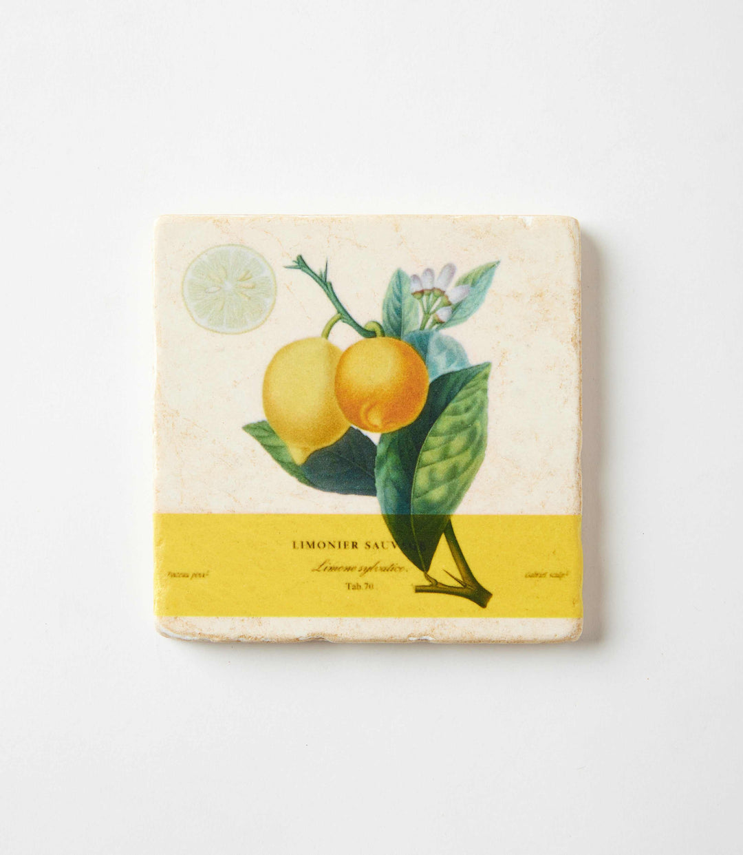 Lemon Marble Coasters, Set Of 4