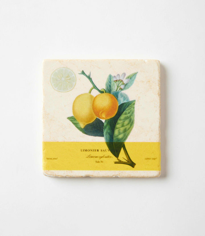 Lemon Marble Coasters, Set Of 4