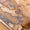 Brown Swatch