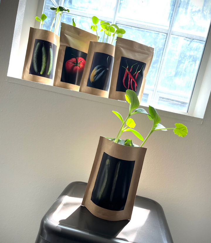 Home Garden Gift Box