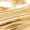 Gold Swatch