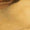 Gold Swatch