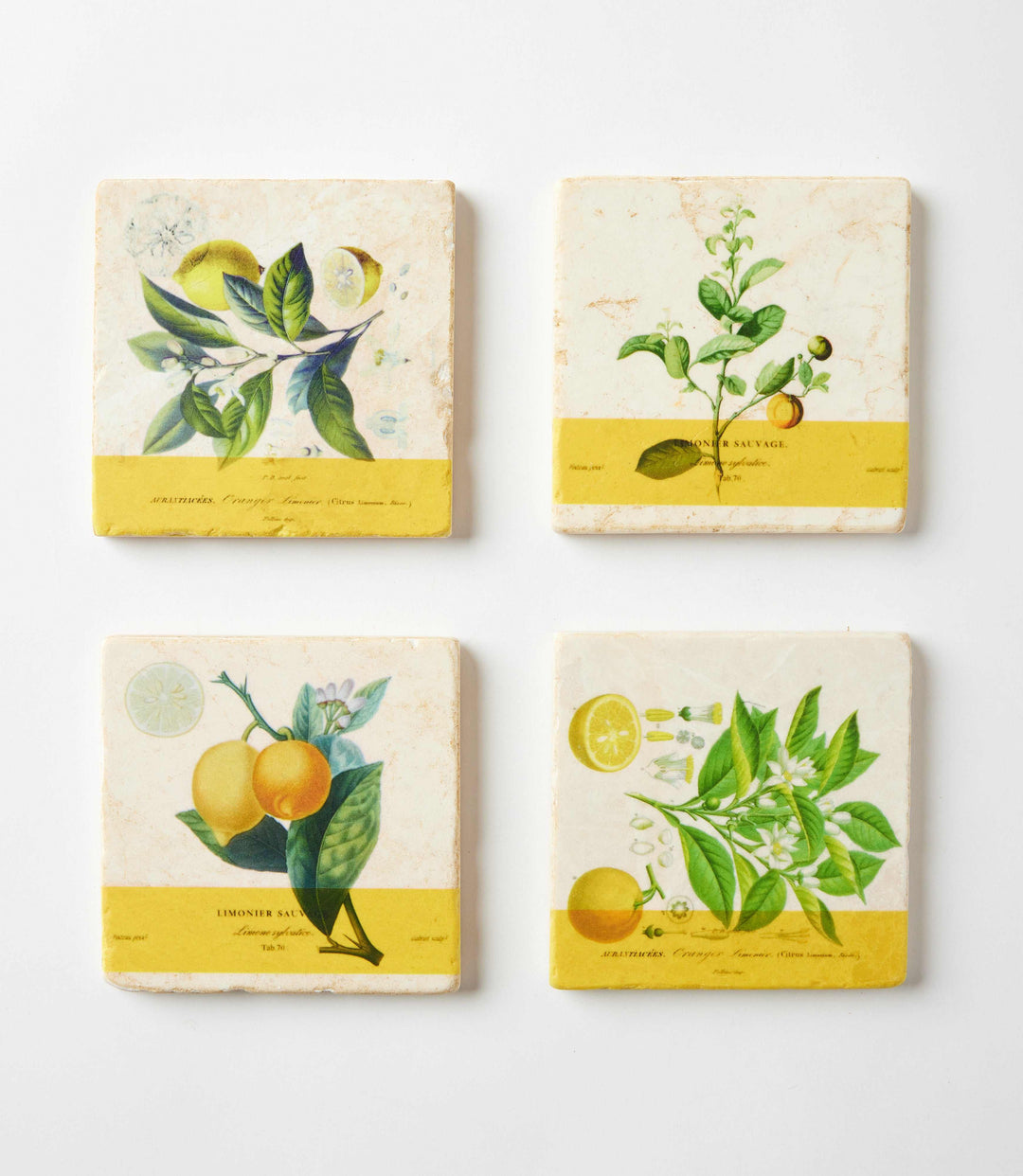 Lemon Marble Coasters, Set Of 4