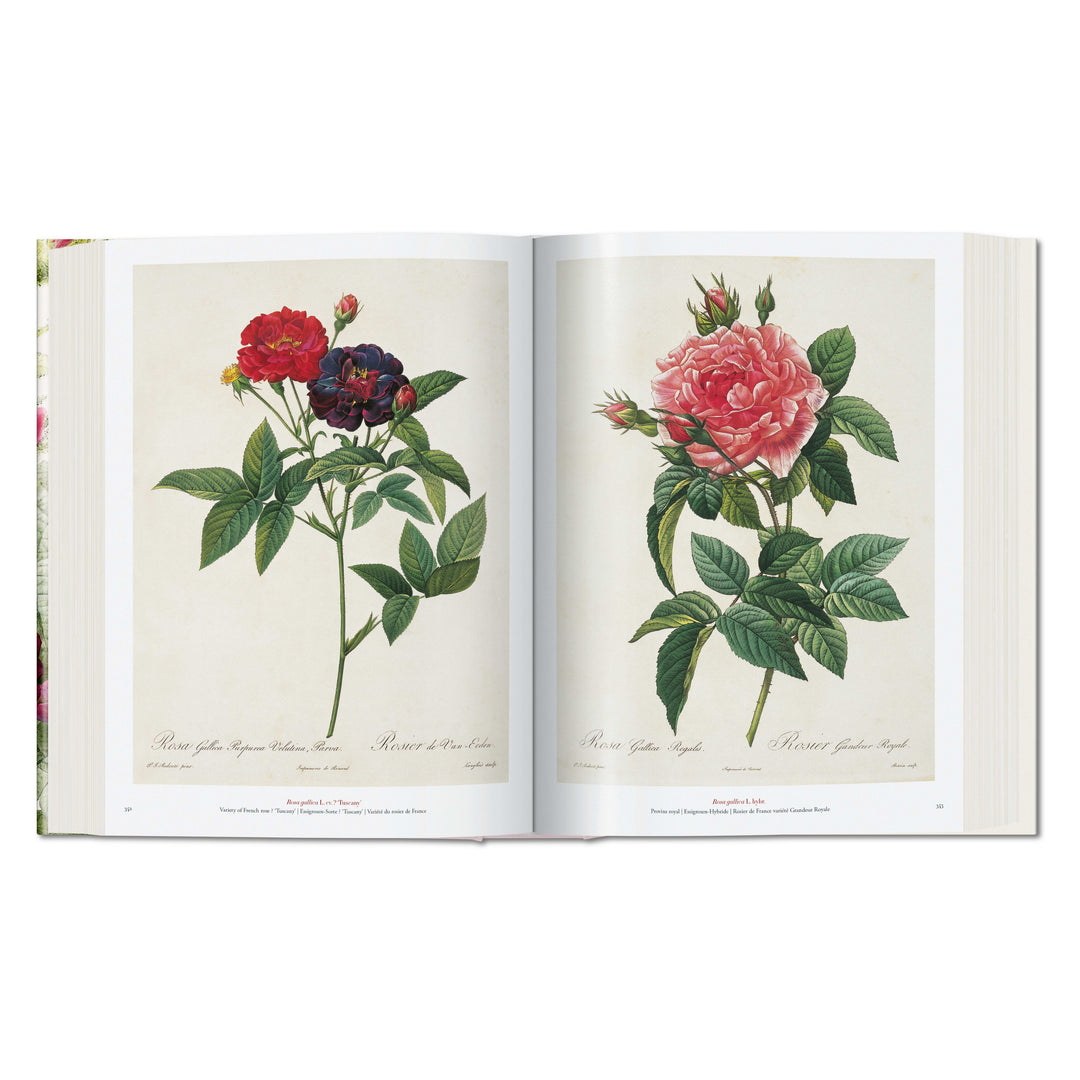 Redouté: The Book of Flowers