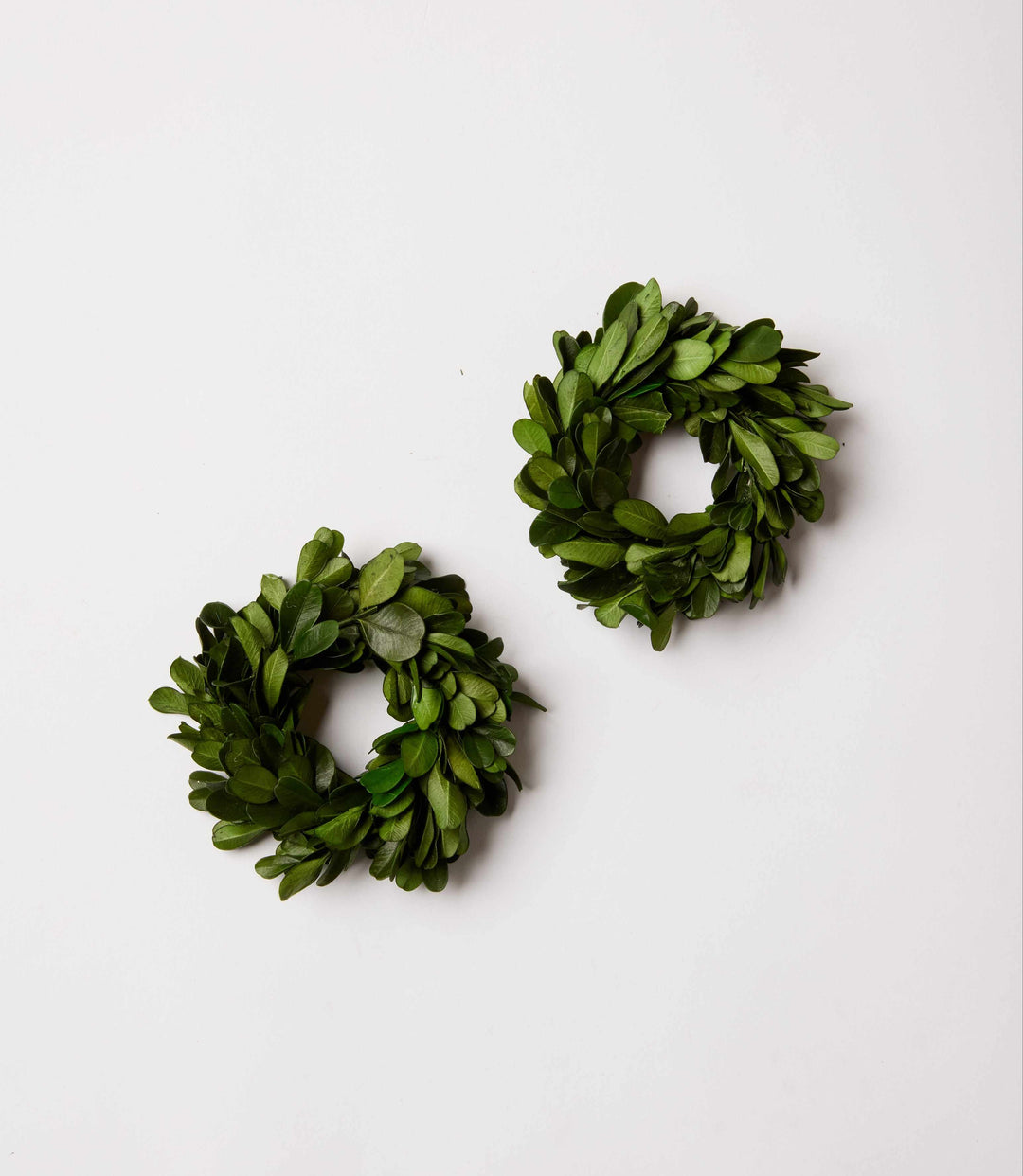 Preserved Boxwood Wreath Napkin Rings, Set Of 4