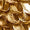 Gold Swatch