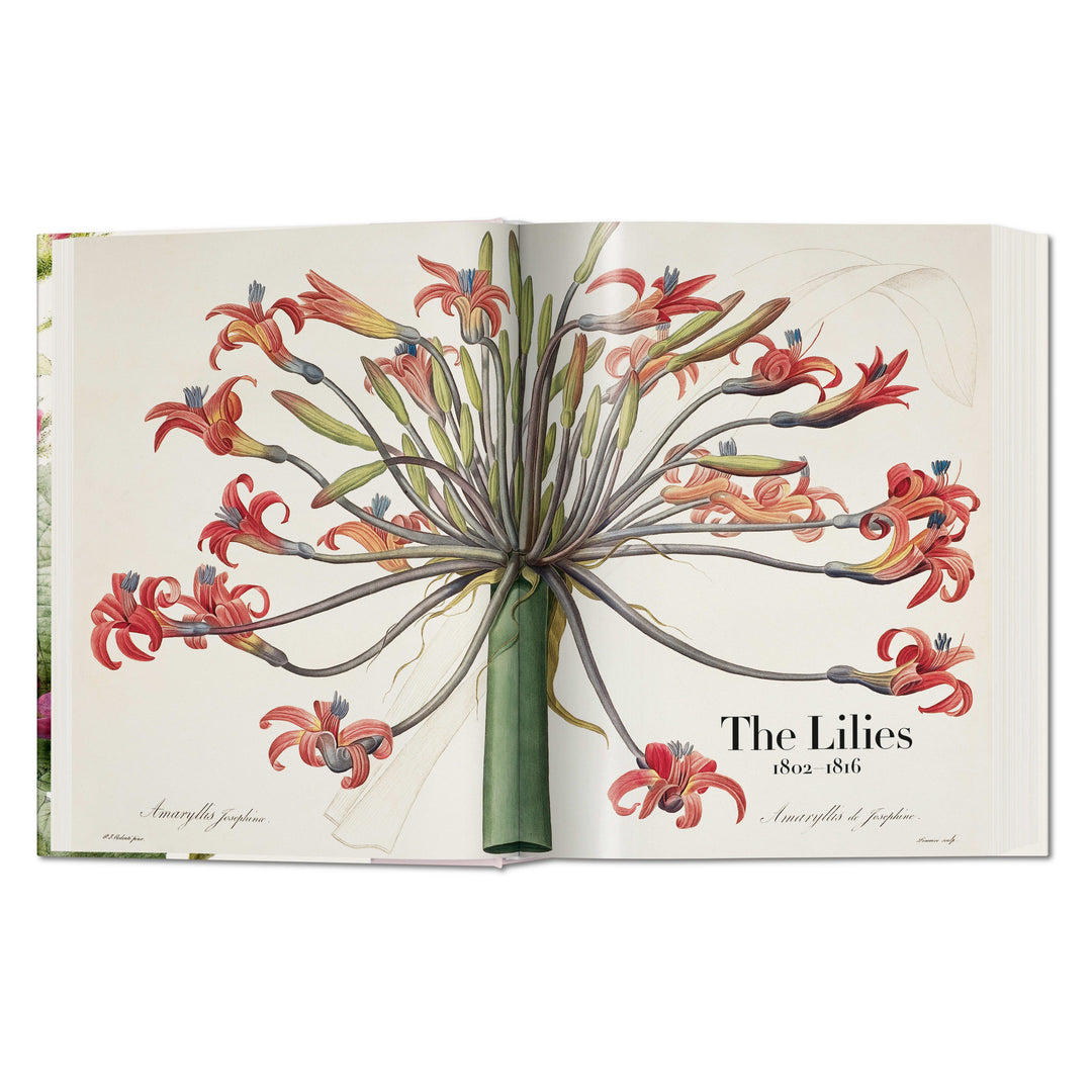 Redouté: The Book of Flowers