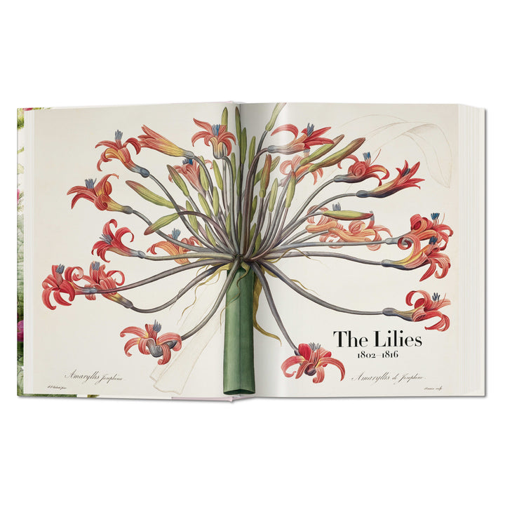 Redouté: The Book of Flowers