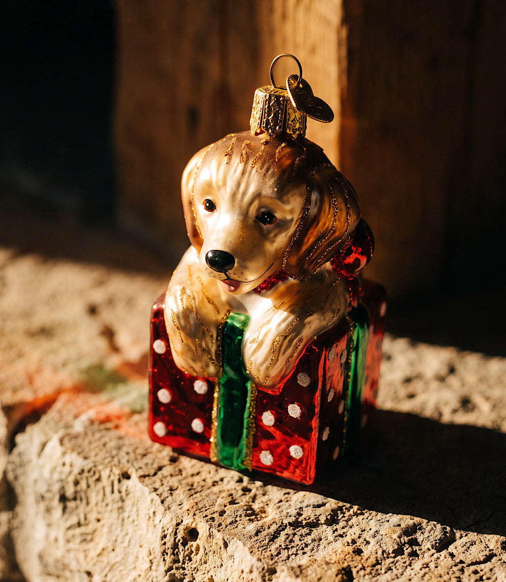 Golden Puppy Surprise Glass Ornament