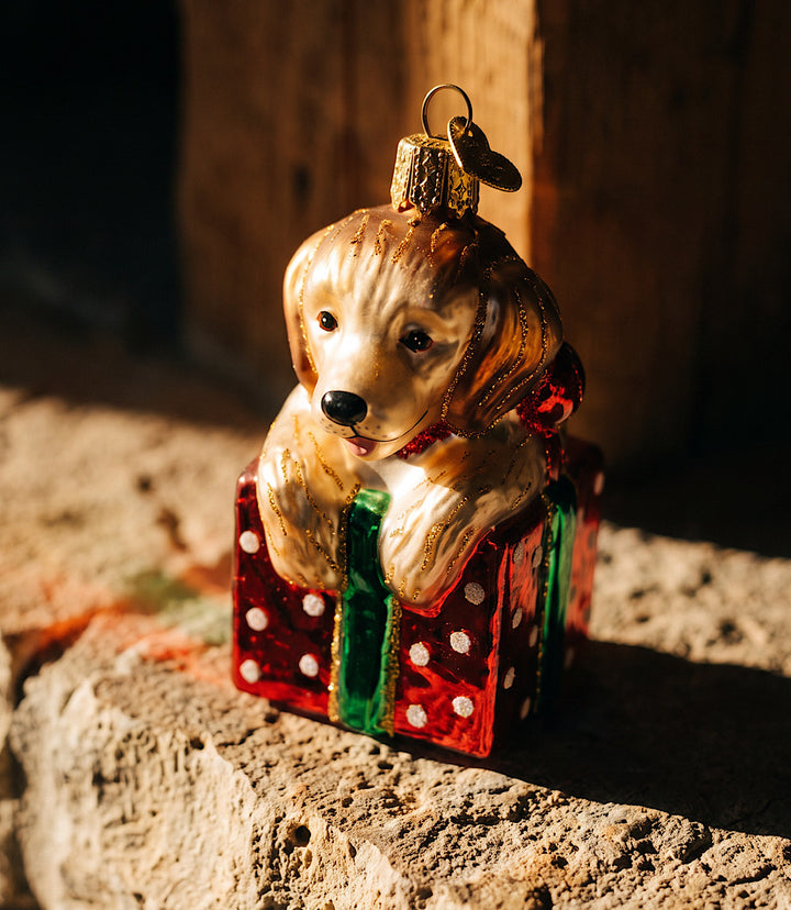 Golden Puppy Surprise Glass Ornament