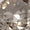 Gray Swatch