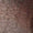 Chocolate Swatch