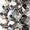 Silver Swatch