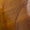 Jasper Swatch