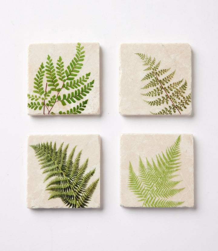 Fern Polished Marble Coasters, Set Of 4