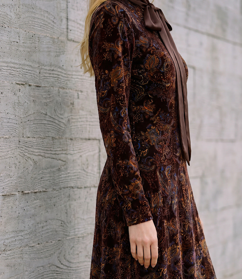 Long Sleeve Velvet Burnout Midi Dress