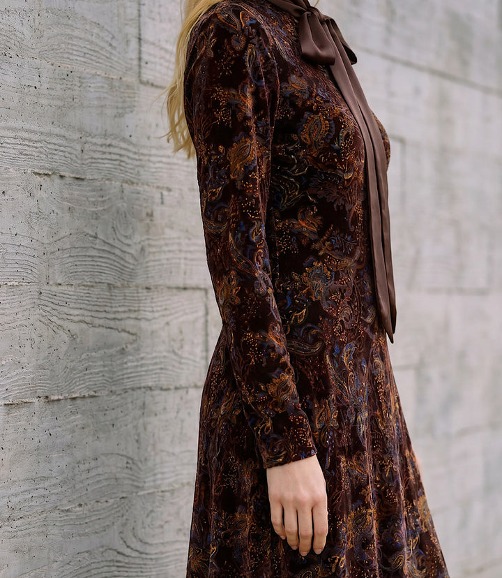 Long Sleeve Velvet Burnout Midi Dress